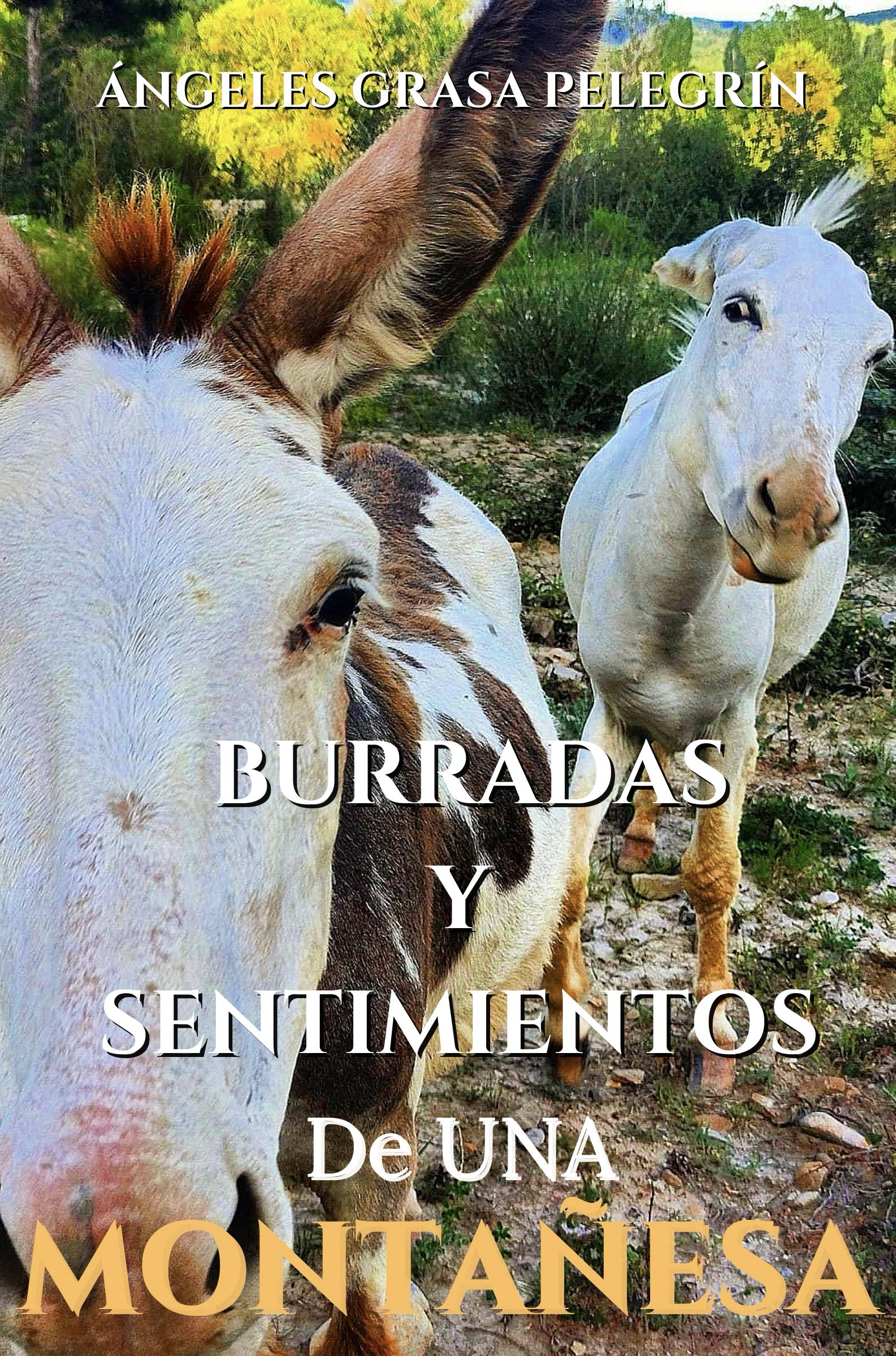 Burradas y sentimientos de una montañesa